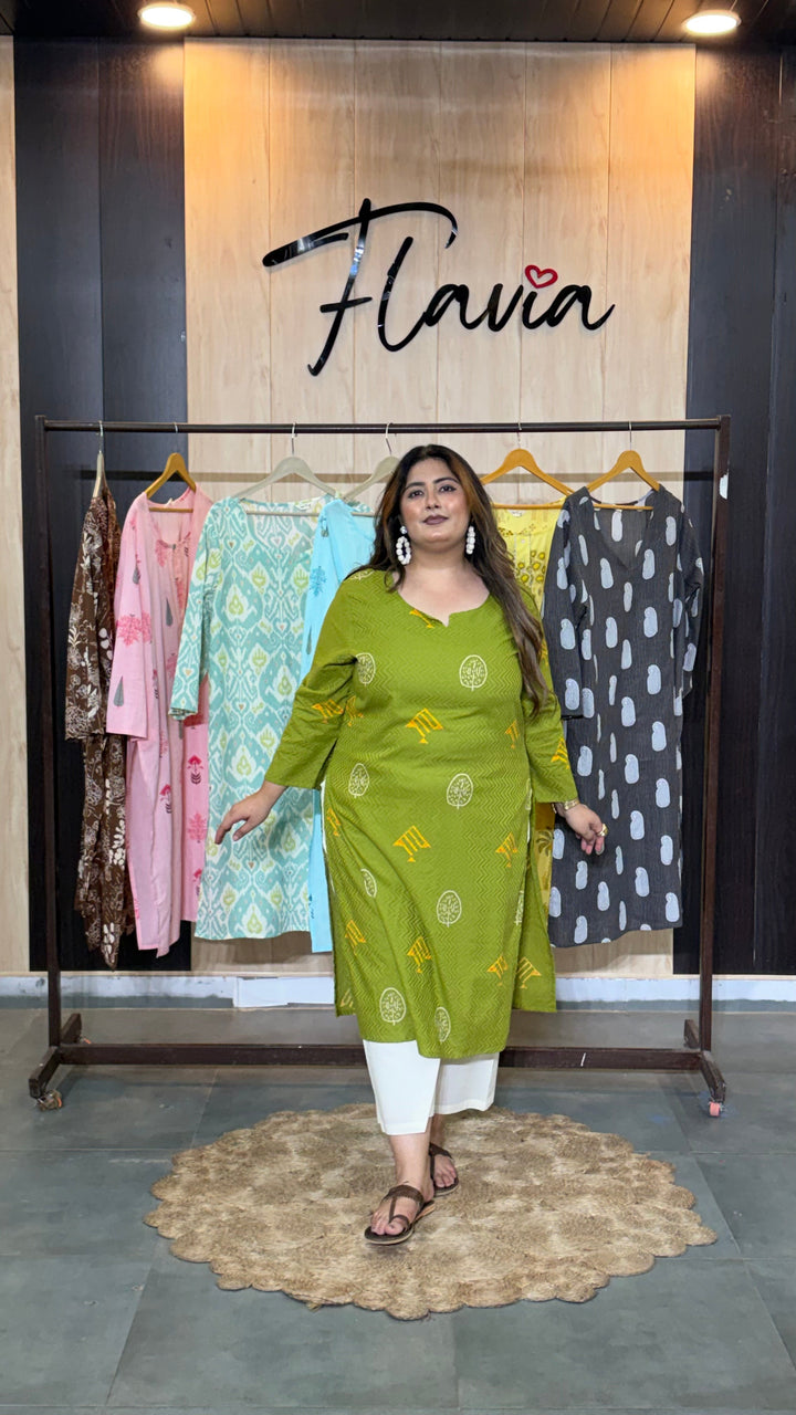 Haritrekha Printed Kurti
