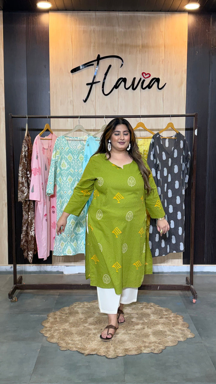 Haritrekha Printed Kurti