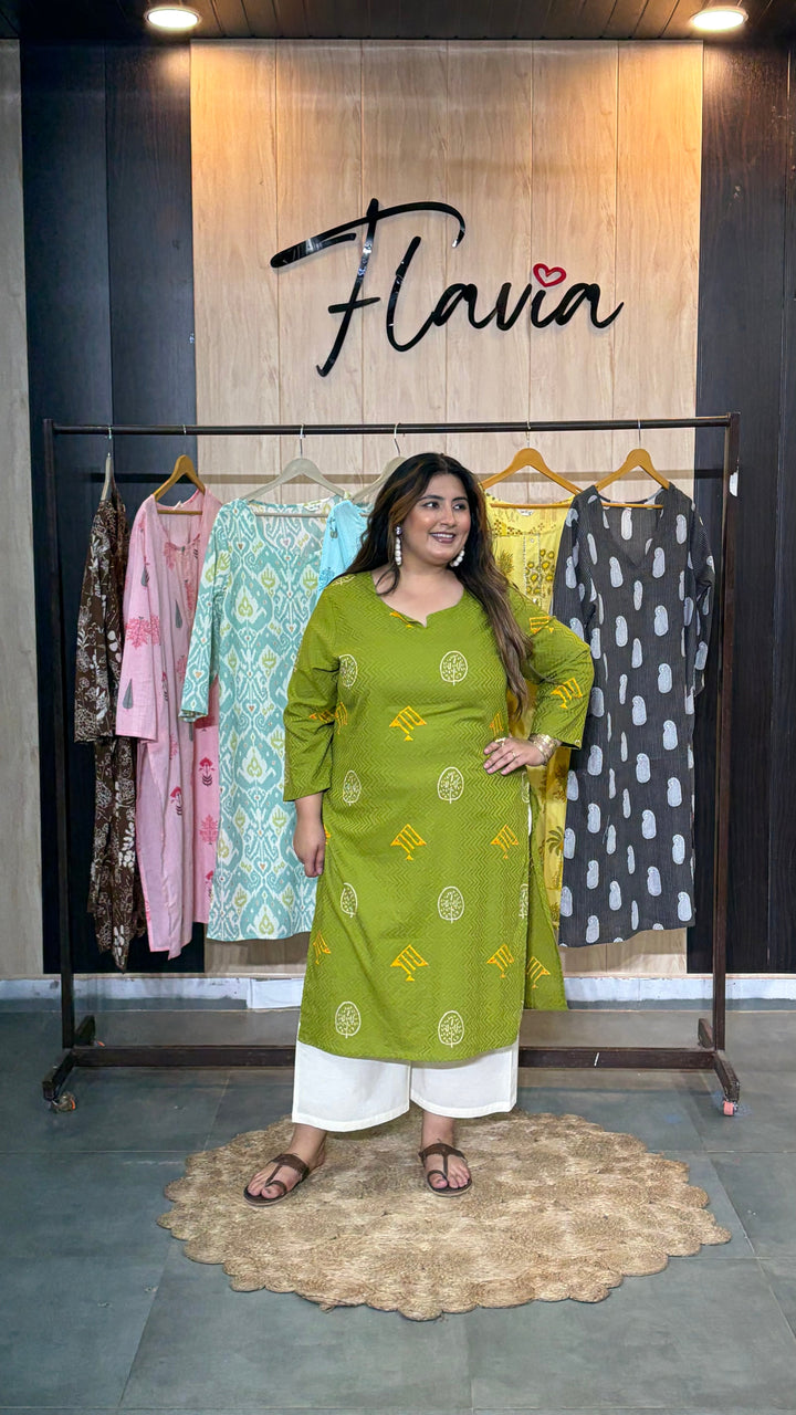 Haritrekha Printed Kurti