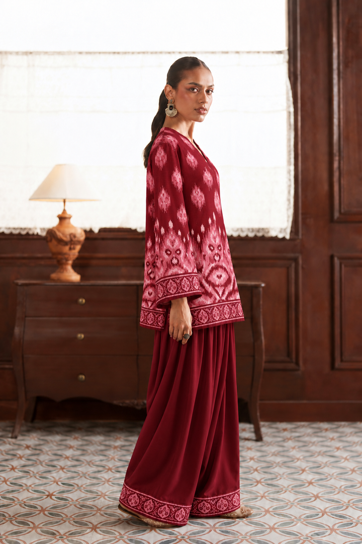 Crimson Ikat Palazzo Farsi Salwar side view