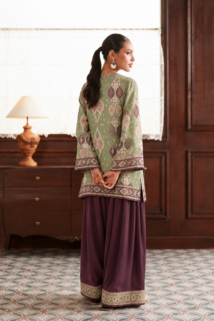 Sage Mauve Ikat Palazzo Farsi Salwar back view